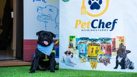 Perro frente a un expositor PetChef